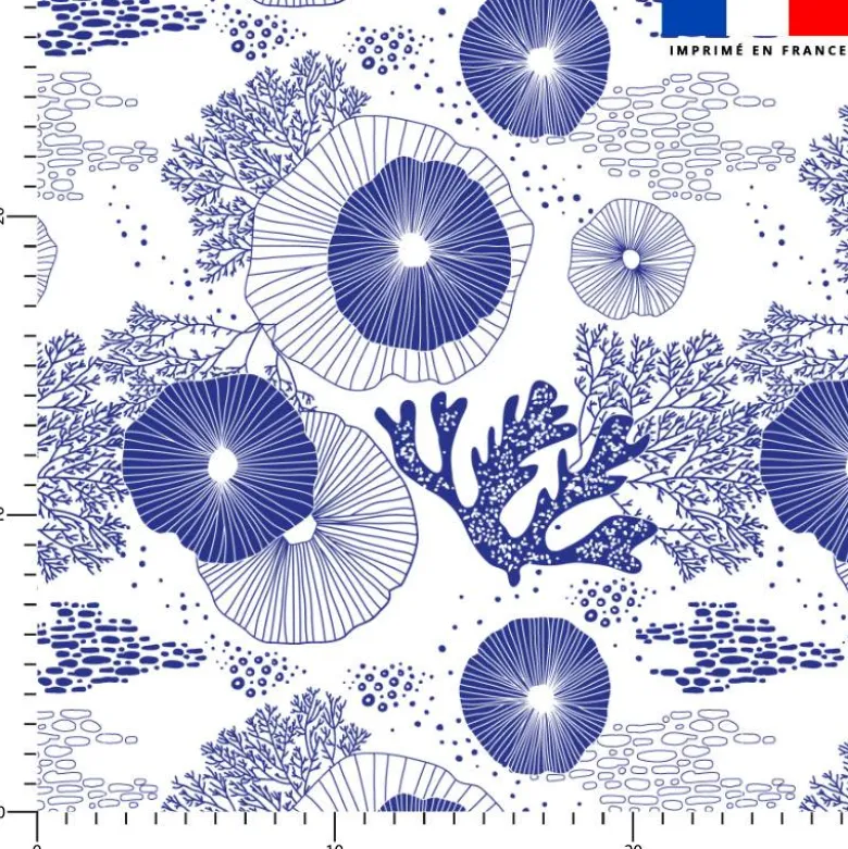 Algue et fleur bleu - Fond blanc