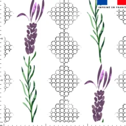 Alvéole et lavande violette et verte - Fond blanc