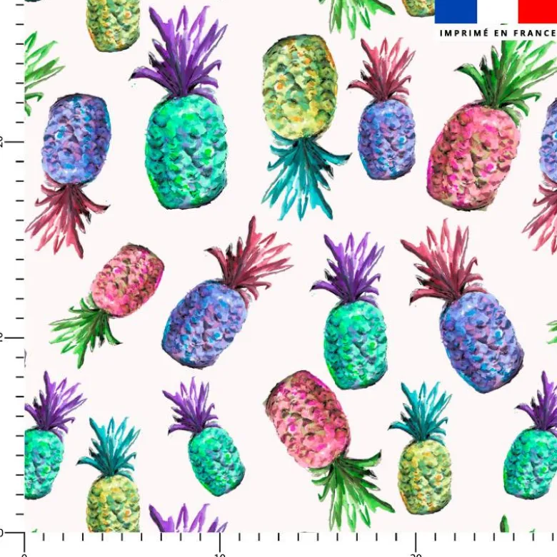 Ananas multicolore - Fond écru - Création Cat&Colours