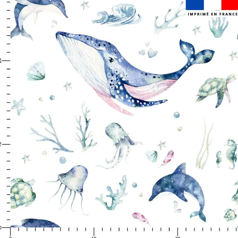 Animaux aquatiques - Fond blanc