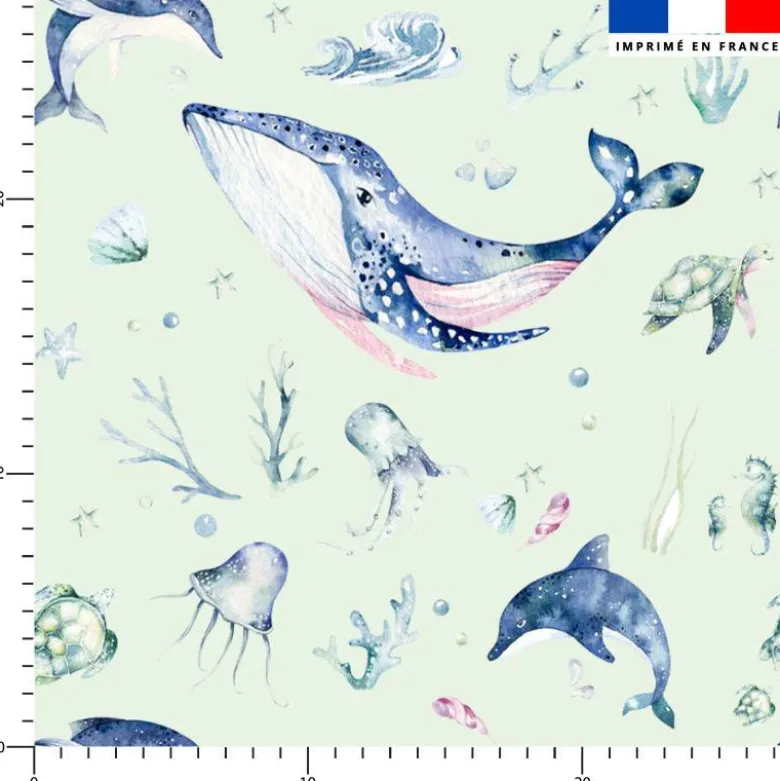 Animaux aquatiques - Fond vert d'eau