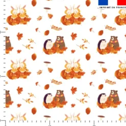Animaux d'automne - Fond blanc