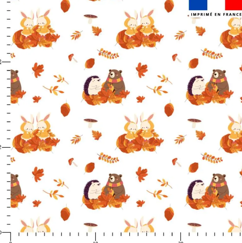Animaux d'automne - Fond blanc