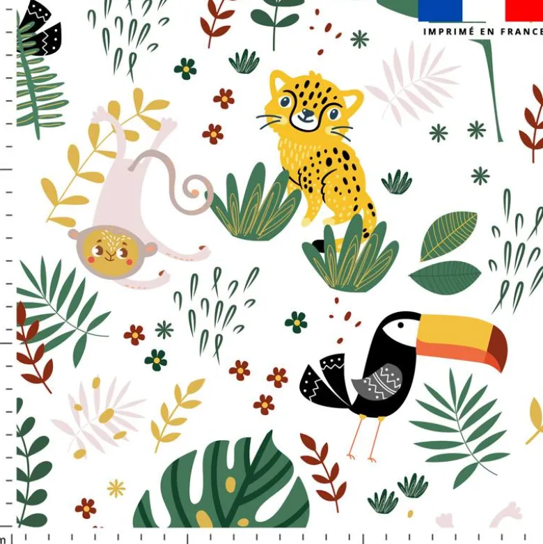 Animaux de la jungle - Fond blanc