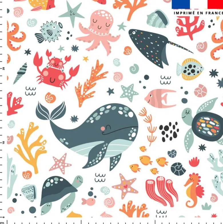 Animaux de l'océan - Fond blanc