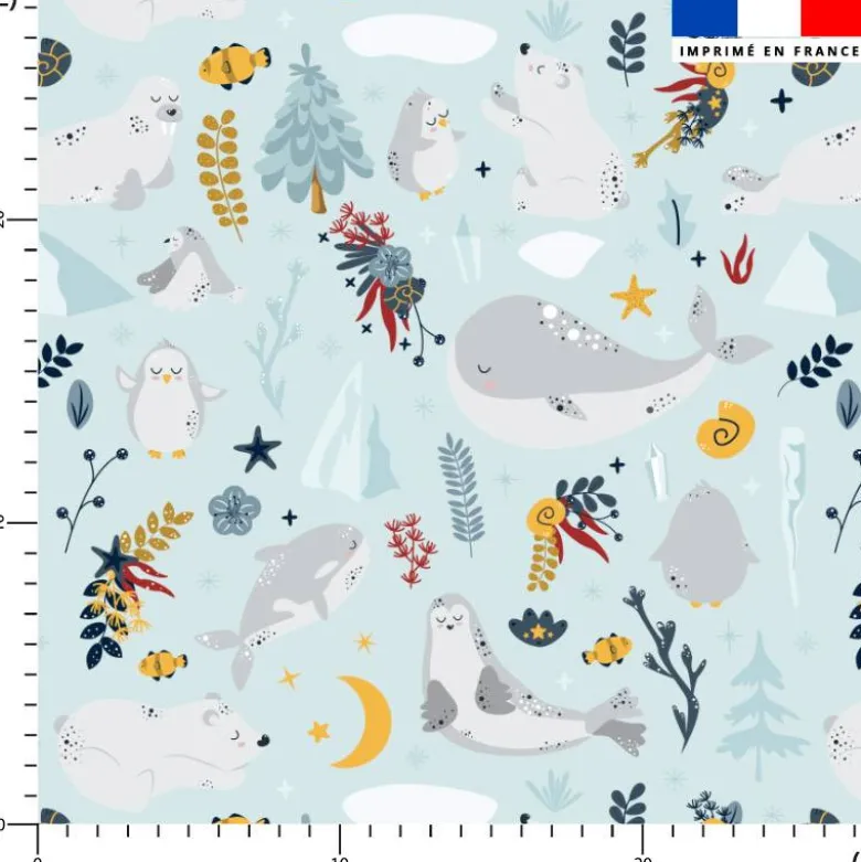 Animaux marins pôle nord - Fond bleu clair