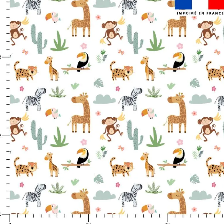 Animaux savane - Fond blanc