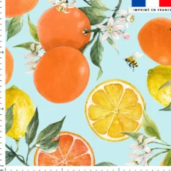 Aquarelle orange et citron - Fond bleu