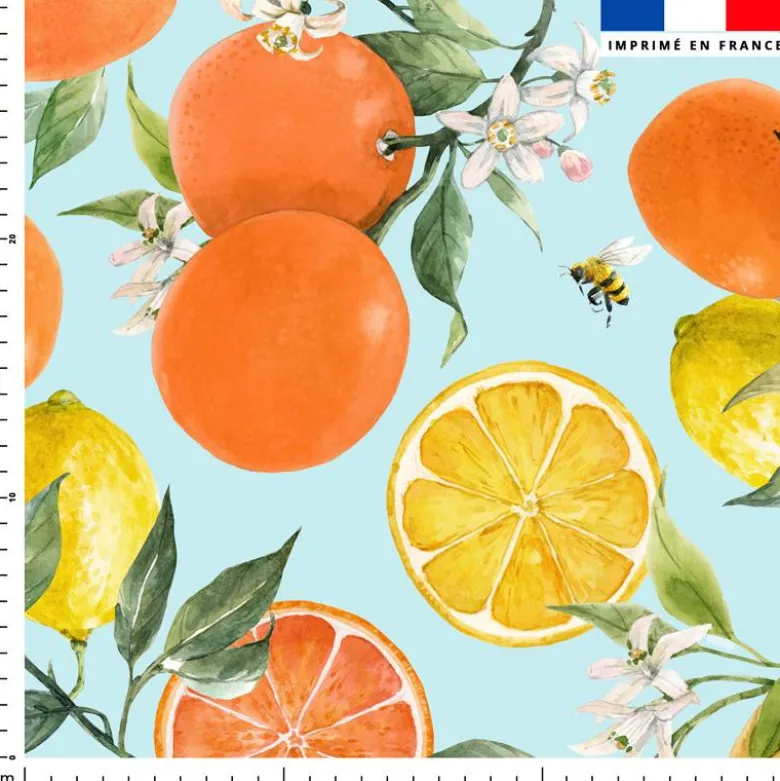Aquarelle orange et citron - Fond bleu