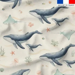Baleines et baleineaux - Fond crème