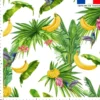 Banane et colibri - Fond blanc