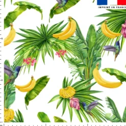 Banane et colibri - Fond blanc