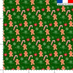Biscuit pain d'épices de Noël - Fond vert