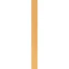 Bobine de biais 20mm 5m ocre