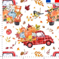 Camion pick-up vintage d'automne - Fond blanc