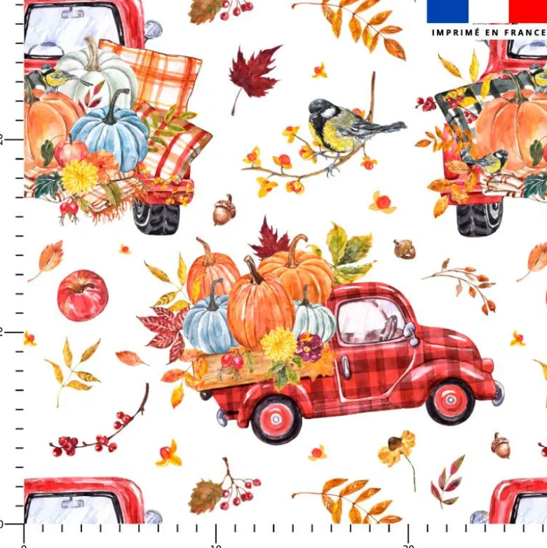 Camion pick-up vintage d'automne - Fond blanc