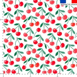 Cerise - Fond blanc
