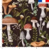 Champignons baies et insectes - Fond noir