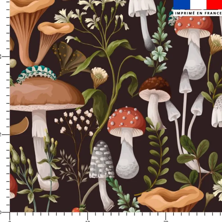 Champignons baies et insectes - Fond noir