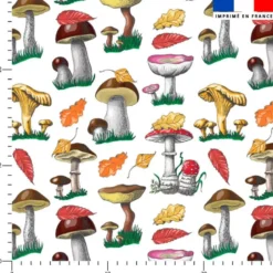 Champignons et feuilles d'automne - Fond blanc