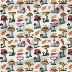 Champignons et feuilles d'automne - Fond blanc