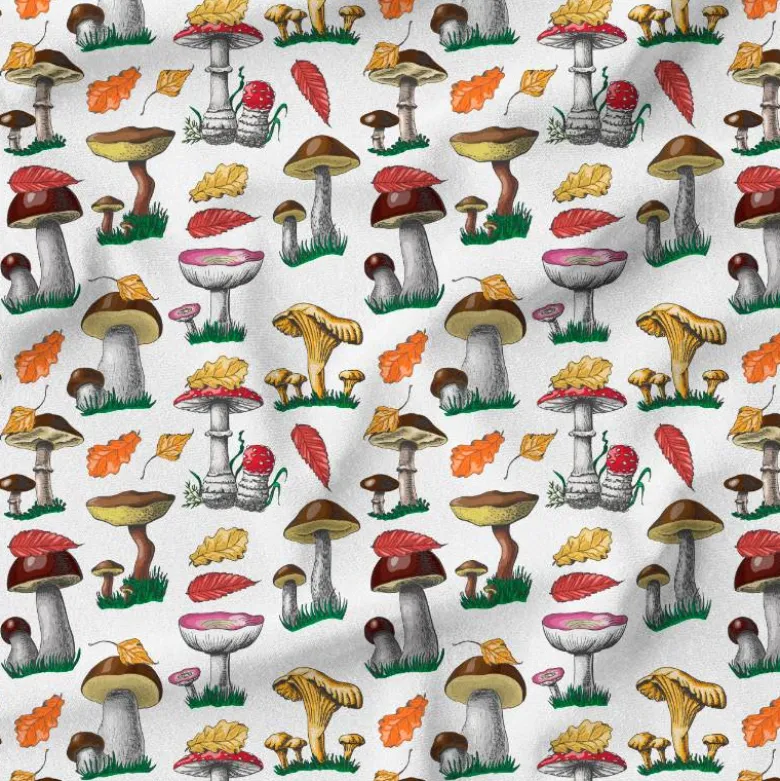 Champignons et feuilles d'automne - Fond blanc