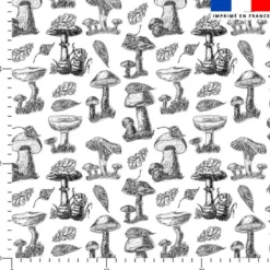 Champignons noirs et feuilles d'automne - Fond blanc