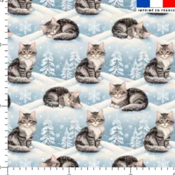 Chat tigré dans la neige - Fond bleu