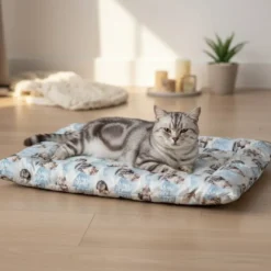 Chat tigré dans la neige - Fond bleu