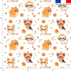 Chiens d'automne - Fond blanc - Création Jolifox
