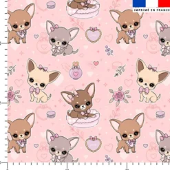 Chihuahuas douceurs et roses - Fond rose - Création Jolifox