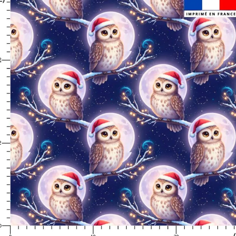 Chouette de noël - Fond bleu