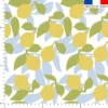 Citron - Fond blanc