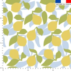 Citron - Fond blanc