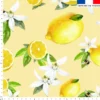 Citron jaune et fleur de citronnier - Fond jaune pastel