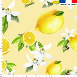 Citron jaune et fleur de citronnier - Fond jaune pastel