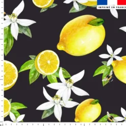 Citron jaune et fleur de citronnier - Fond noir