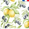 Citron jaune et olive noire - Fond blanc