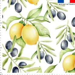 Citron jaune et olive noire - Fond blanc