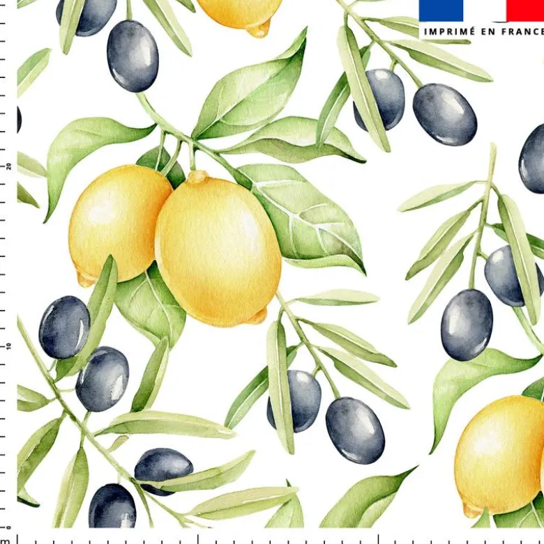 Citron jaune et olive noire - Fond blanc