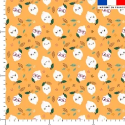 Citron à lunettes - Fond mandarine