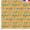 Citron à lunettes - Fond vert