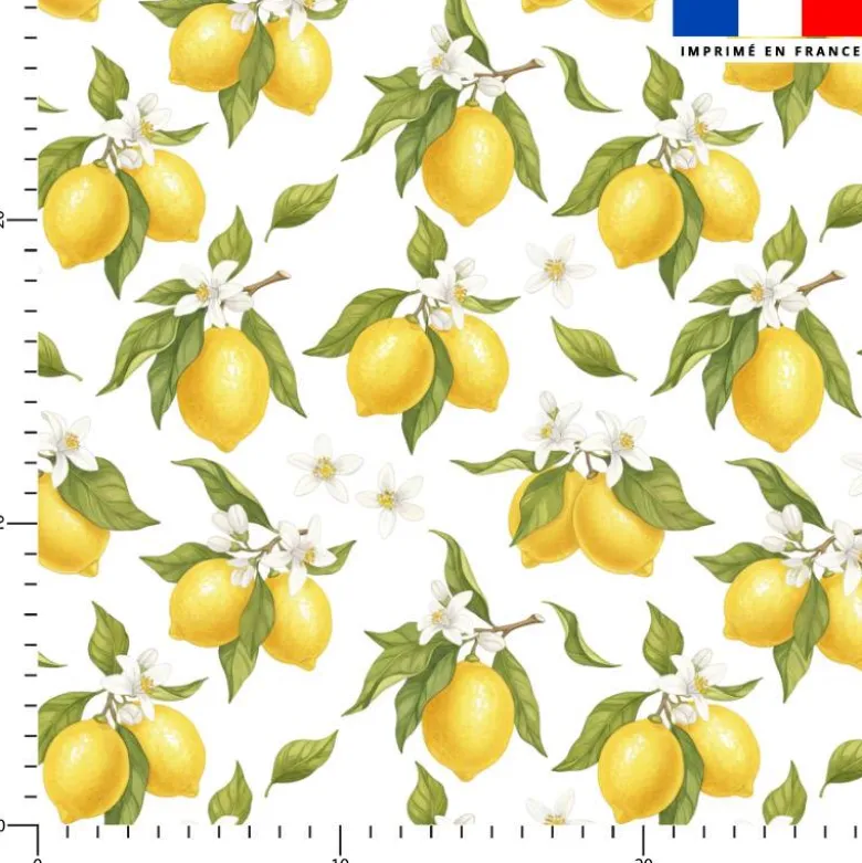 Citrons Et Fleurs Blanches - Fond Blanc