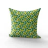 Citrons et fleurs de citronnier - Fond blanc