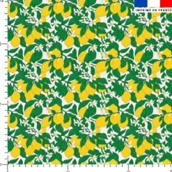 Citrons et fleurs de citronnier - Fond blanc