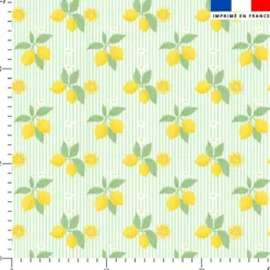 Citrons et rayures fines vertes - Fond blanc