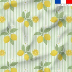 Citrons et rayures fines vertes - Fond blanc