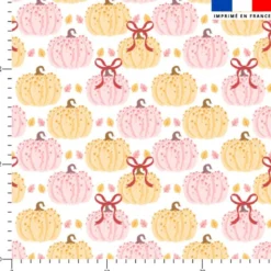 Citrouille beige et rose ruban - Fond blanc