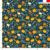 Citrouille et petites fleurs - Fond bleu pétrole