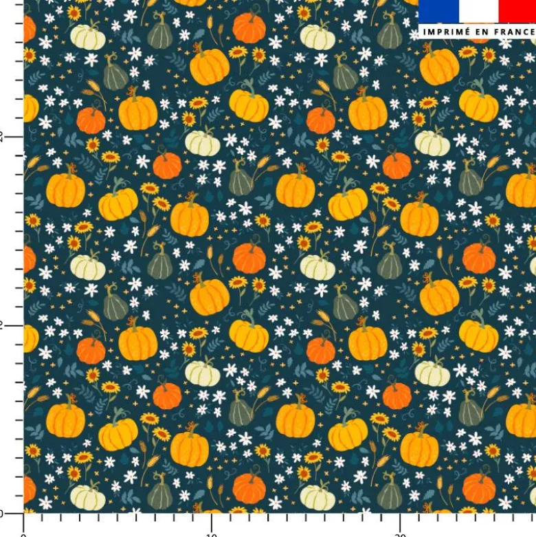 Citrouille et petites fleurs - Fond bleu pétrole